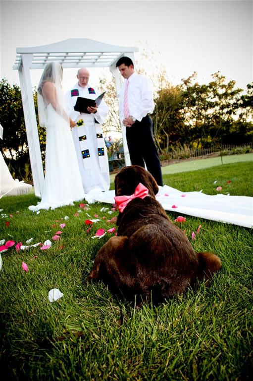 Best_lancaster_wedding_photography