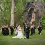 Weddings-can-be-fun